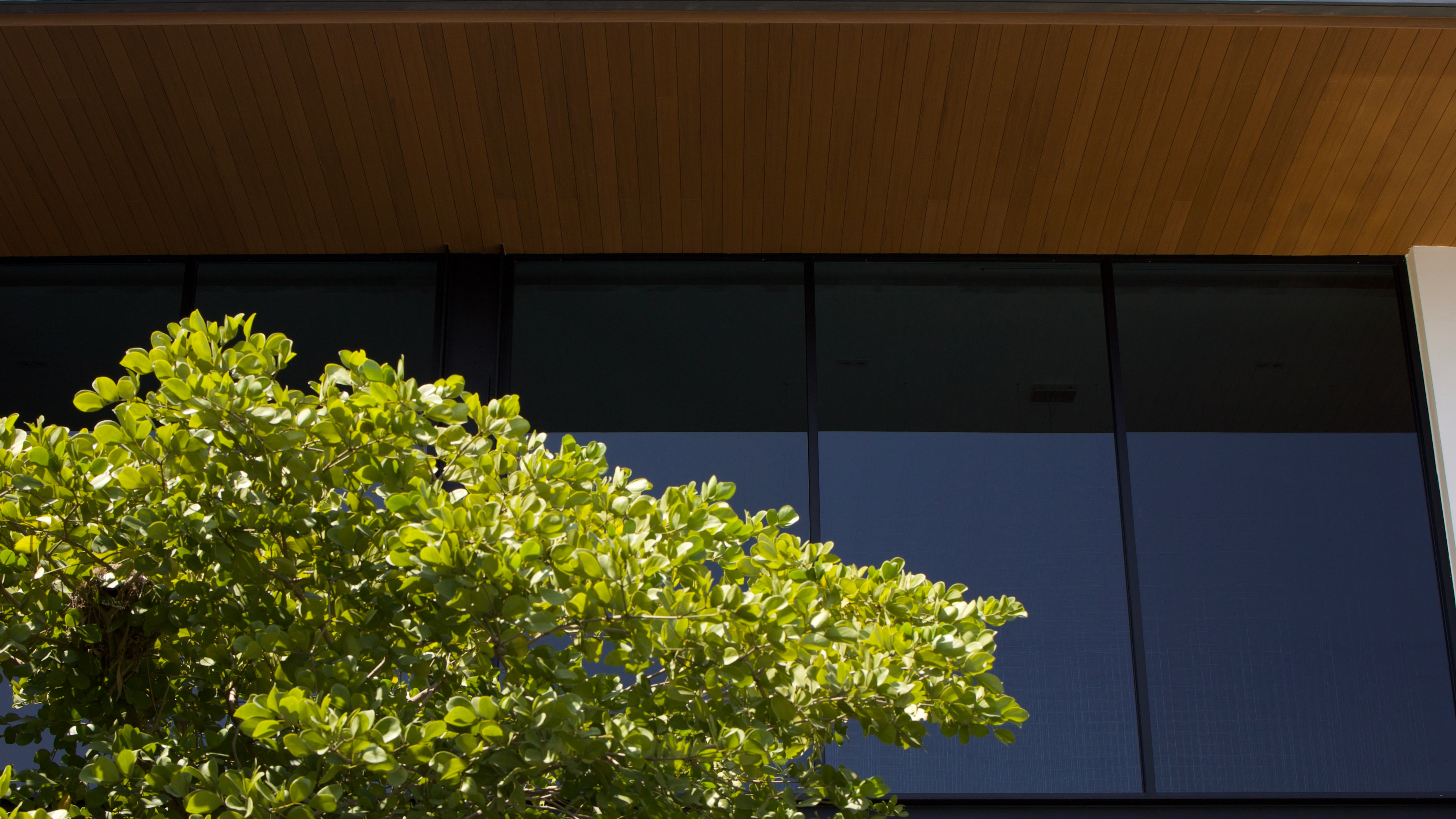 ผลงานติดตั้งฝ้าไม้เทียม